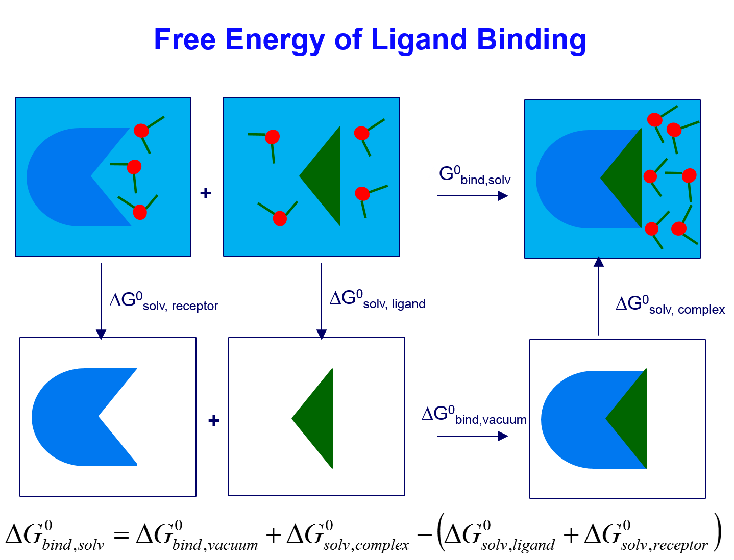 Binding Free Energy Calculated With MM-PB/GBSA