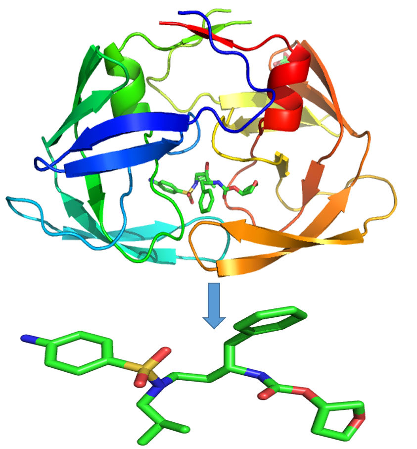 HIV-1 Protease